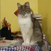Отзыв от Жанна Шевцова